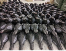 Linkboy archery target pigeon decoy for hunting archery