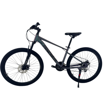 Urban Leisure 21-Speed Mountain Bike for Outdoor Adventures