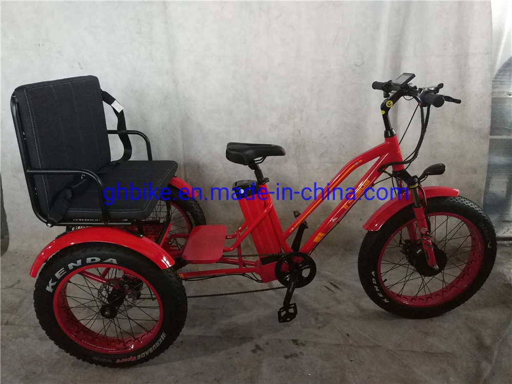 Ebike Fat Tire E Trike Three Wheels Adult Cargo Electric Tricycle