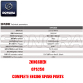 Zongshen CPS250 Complete Engine Spare Parts Oryginalne części