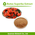 Prix ​​en vrac Butea Superba Extract Powder 10: 1