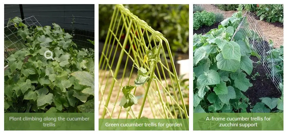 a-Frame Cucumber Trellis Support Vine Vegetables on Raised Garden Beds