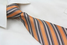 Fashion Polyester Neck Ties