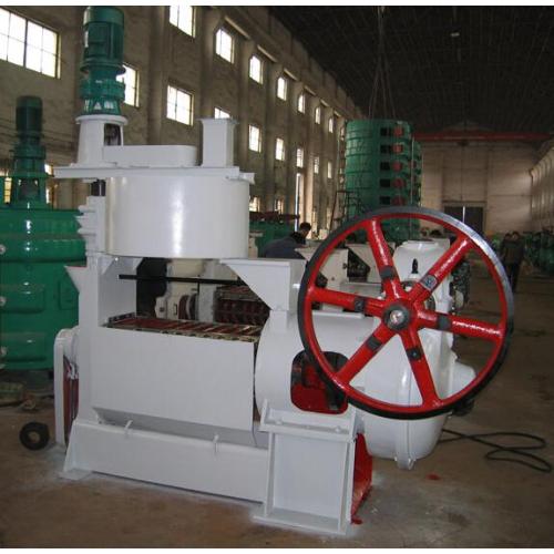 Large Vegetable Oil Cold Pressing Machine