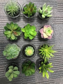 Nordic Potted Simulation Green Plant Micro Landscape