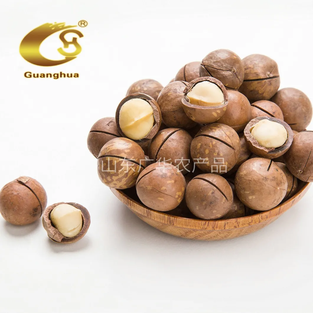 Export Quality Macadamia Nuts with Creamy Flavor