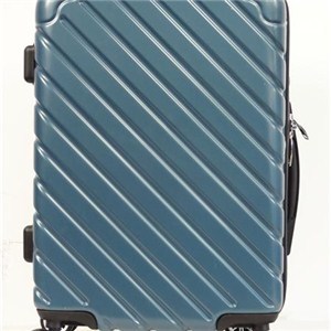 Polycarbonate Trolley Luggage