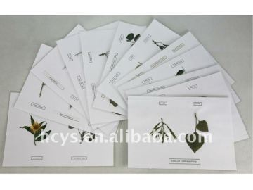 Medicinal Plants Herbarium