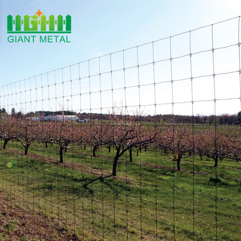 High Quality Easy Assembled Field Fence for Farm