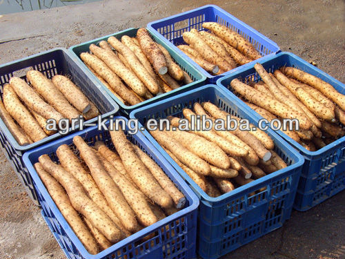Chinese Fresh Yams For Sale