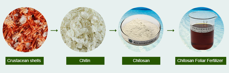 Chitosan Liquid Fertilizer, Liquid Organic Fertilizer