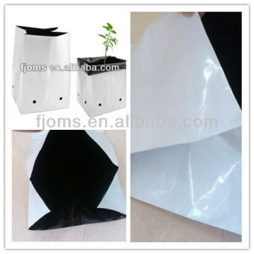 Black and white plastic grow bag for seed planting