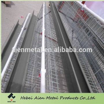 design chicken egg layer cages