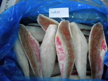 High Quality Frozen Red Gurnard Fillet