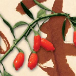 Love Dried Goji Leaf Tea