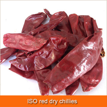 ISO red dry chillies