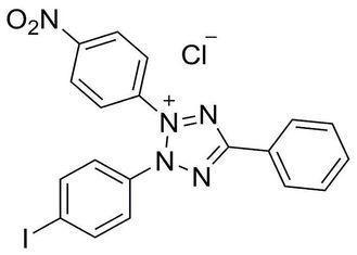 INT  CAS NO 146-68-9 ELISA Reagents  Iodonitrotetrazolium c