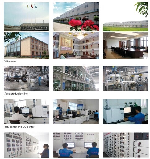 Shandong tiancheng chemical co., ltd. workshops