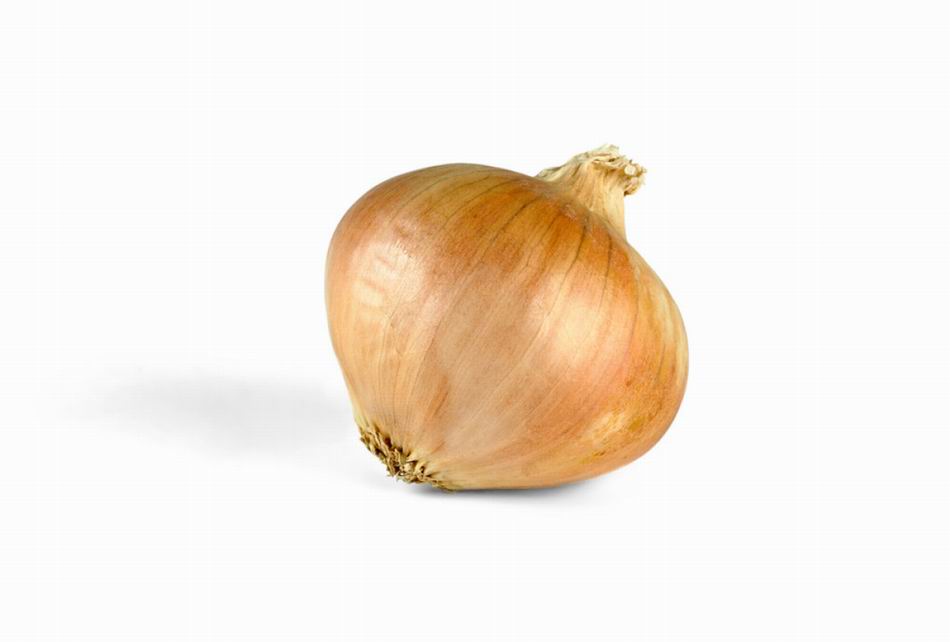 Yellow Onion 24