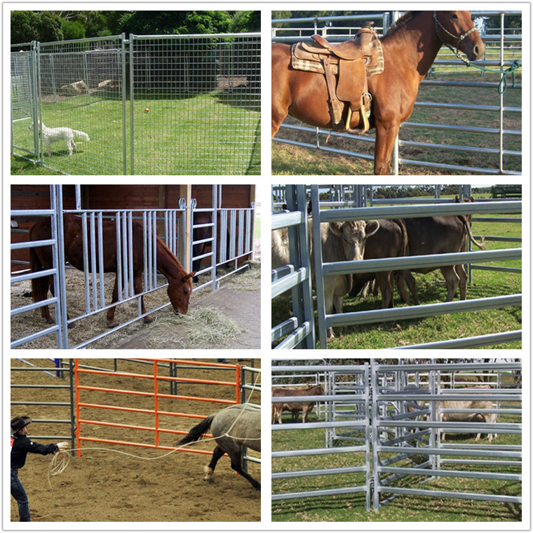 horse fence photo 88