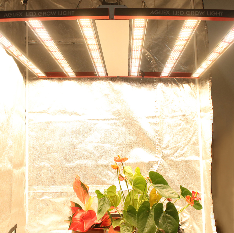 Hidroponik Tıp Tesisi için LED Grow Lights 700W