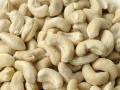 завод по обработке кешью сырые сушеные орехи кешью Индонезия