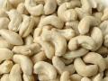 Cashew-kernels met groothandelsprijzen aangeboden