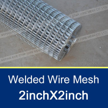 Galvanized Welded Wire Mesh/Electro Galvanized Welded Wire Mesh/Hot Dipped Galvanized Welded wire Mesh