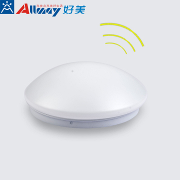 LED Ceiling Light With Microwave Motion Sensor