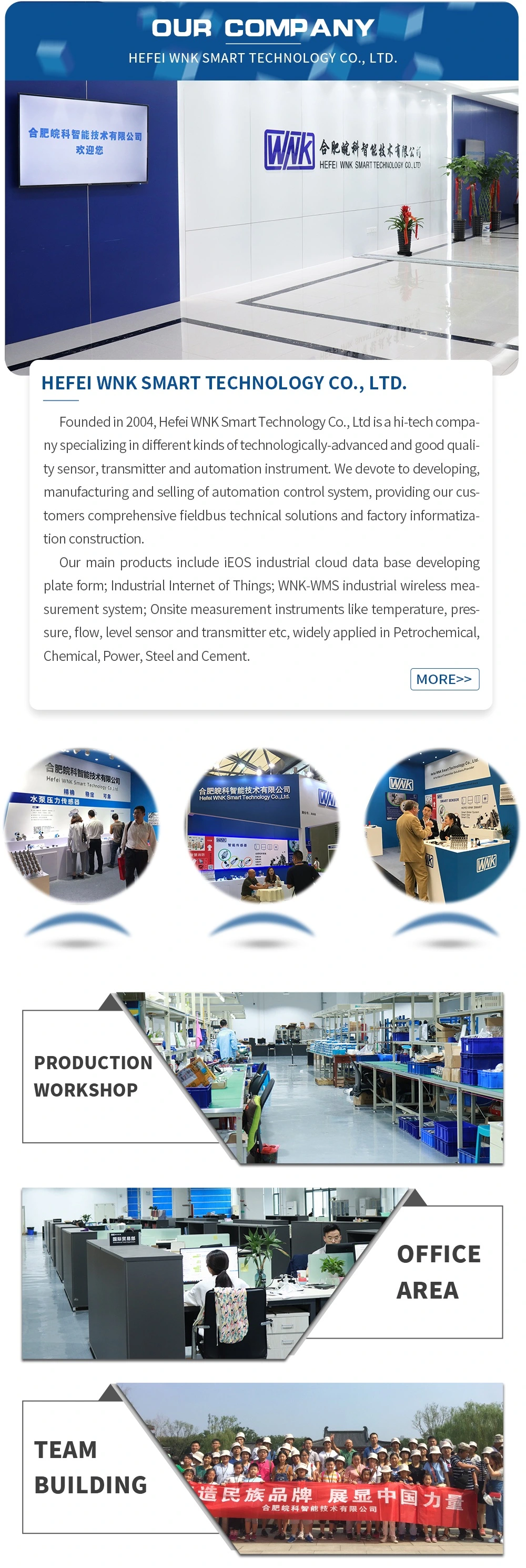 IP65/IP68 Electronic Level Switch with Modbus Communication