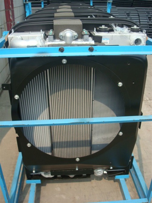 207 03 21641 Cooler Radiator Price 2 Jpg