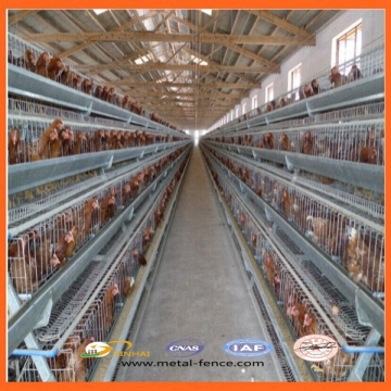 Chicken Laying Cage/Chicken Brooder Cage/Chicken Battery Cage