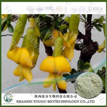 China Genistein, soybean extract genistein, daidzein factory