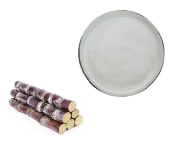 Fast Shipping Free Sample Organic Pumpkin Powder Price