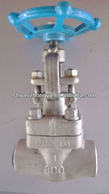 ss304 globe valve