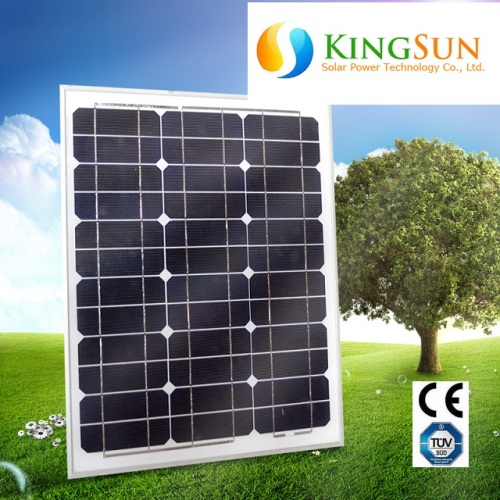 25W Mini Mono-Crystalline Solar Panel/Mono Solar Modules/Solar Energy