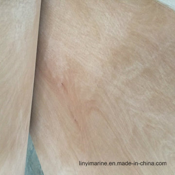 9mm Pencil Ceder Wood Plywood for South Amercia Market