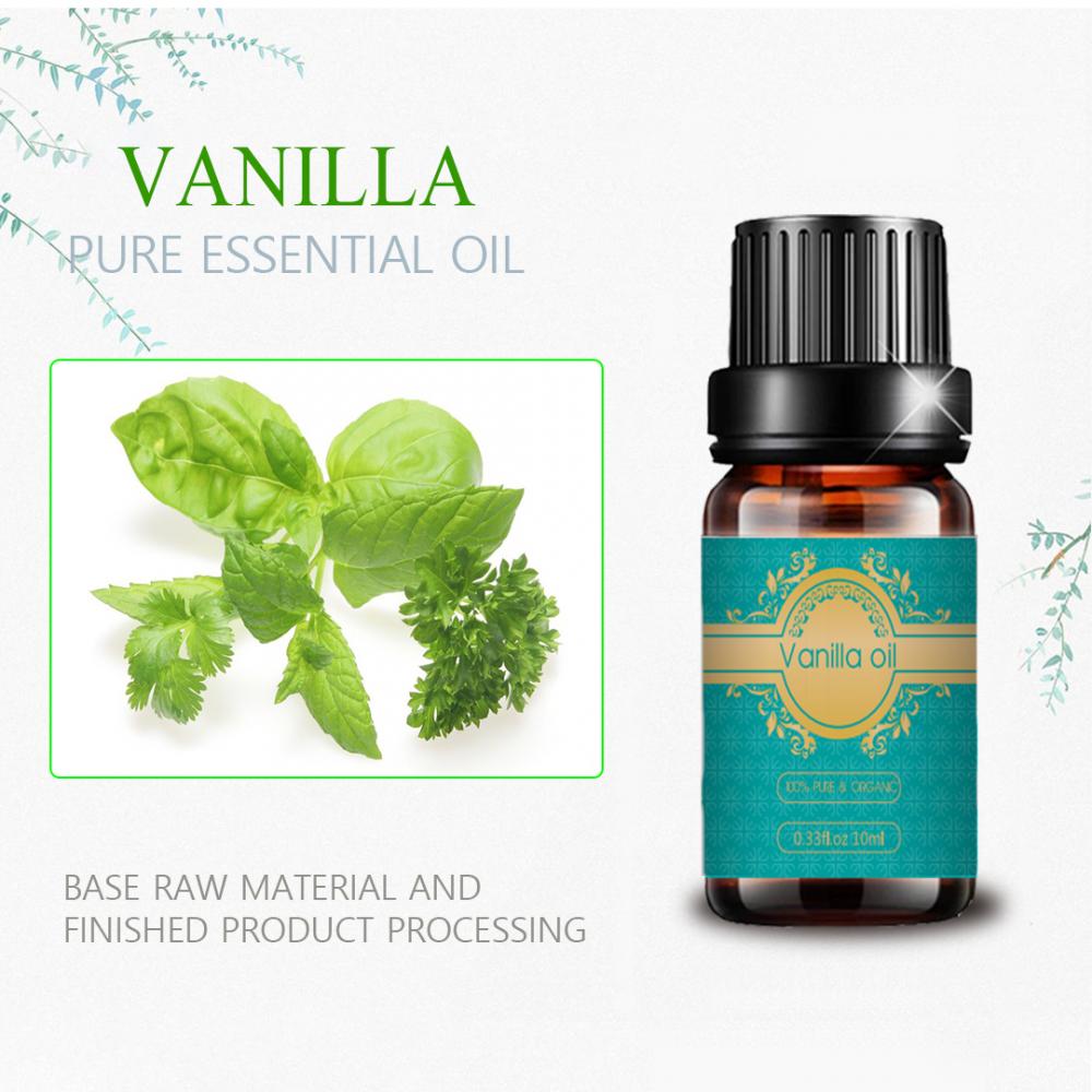 Factory Supply Bulk Price Fragrance Vanilla Essential Oil