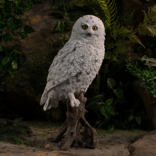 White Owl Statue: Custom Design Outdoor Garden Bird Decor