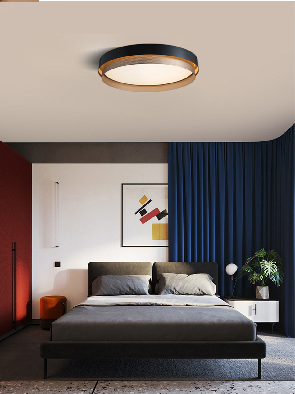 Minimalist Ceiling Lamp Ceiling Light 0355 5