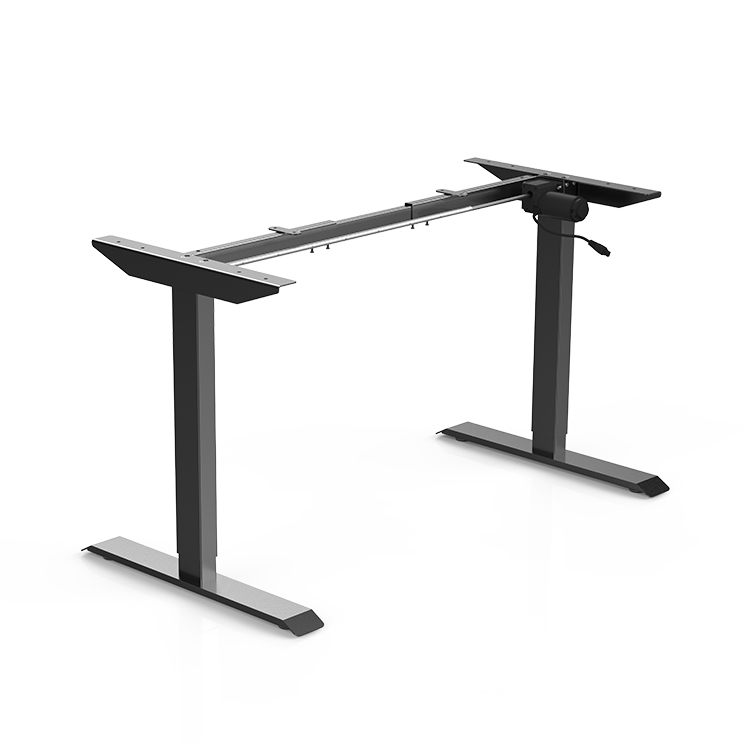 Height Adjustable Desk at Costco