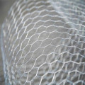 Wire Mesh Galvanized Hexagonal Berkualiti Tinggi Terpakai