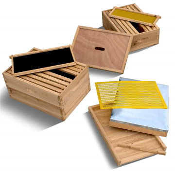 China supplier Langstroth beehive widely used for bee house