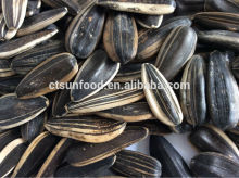 sell sunflwoer seeds sunflower seed market price sunflower seed ton price