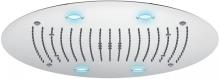 Ceiling Mount Round LED Shower Head