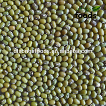 Green Mung Bean Export
