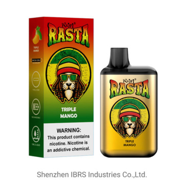 Tragbares 5500 Puff R &amp; M Rasta Disposable Vape