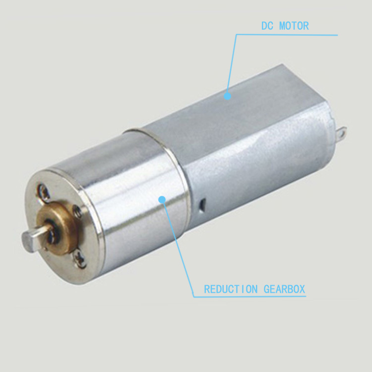  Gear Motor