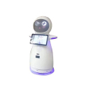 Company Welcome Interaktive sprechende Roboter