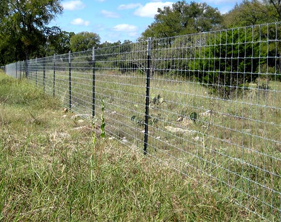 Cheap steel fence t post for America market